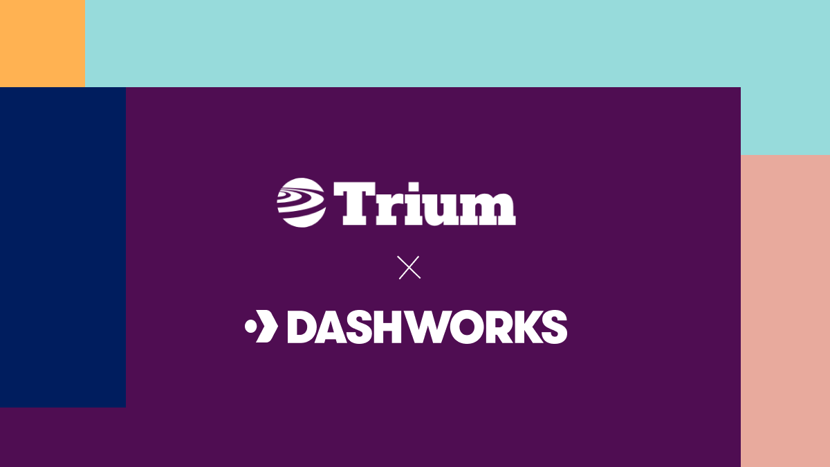 Universal Search for The Trium Group Productivity Dashworks AI